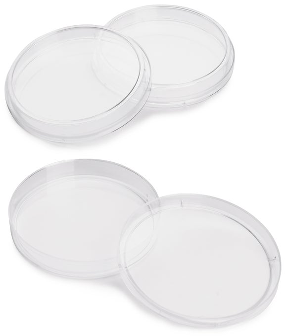 Dish, Petri, 15 x 100 mm, pk/24