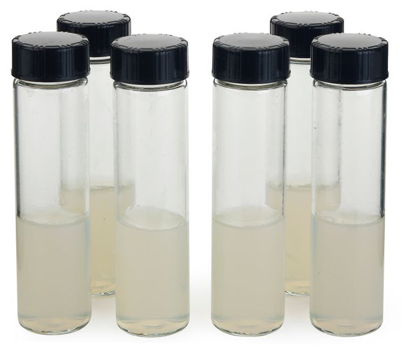R2A Agar, Membrane Filtration, 6/pk