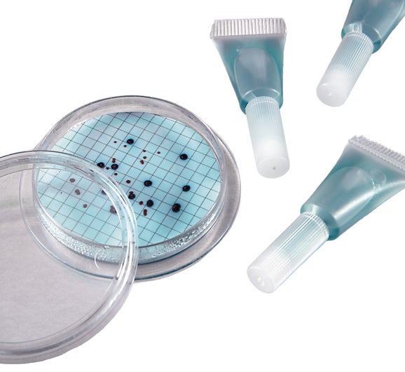 m-ColiBlue24 Broth, plastic ampules, 50/pk